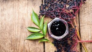 How Does Elderberry Help Fight Cold And Flu Viruses?