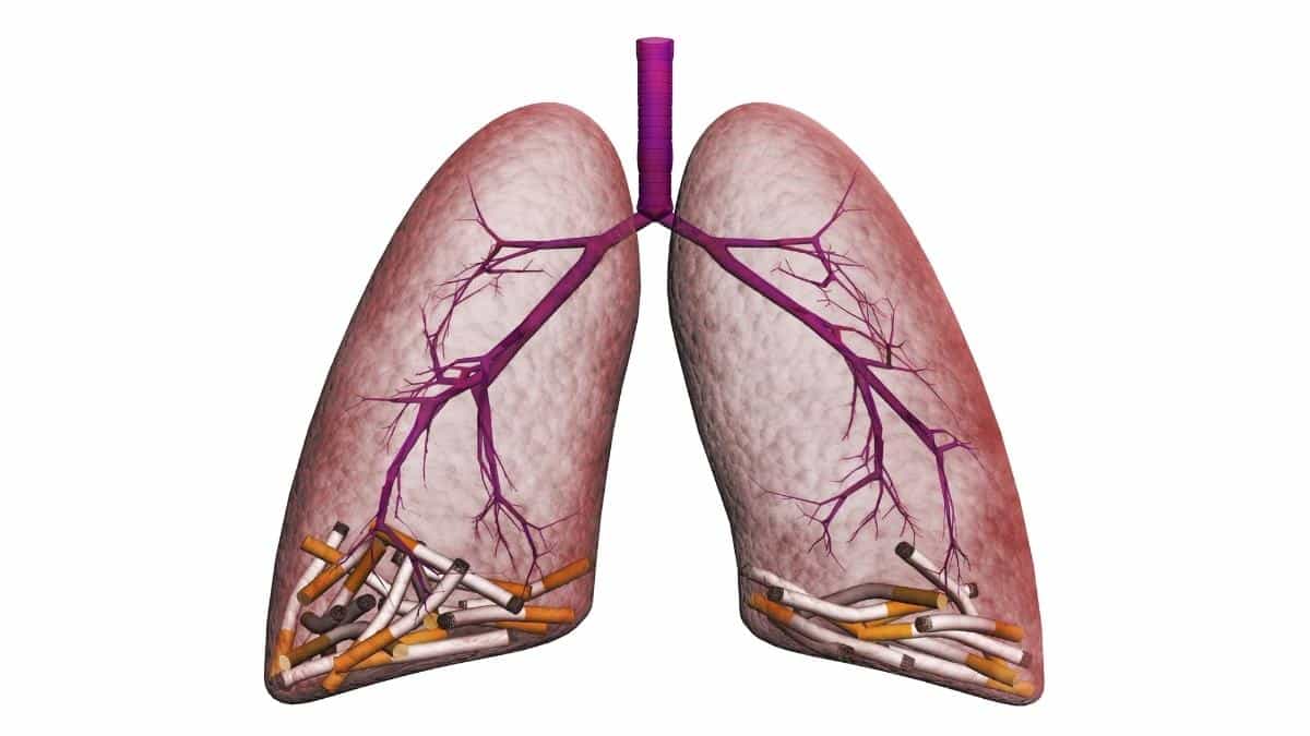 How Long Does It Take Lungs To Heal From Smoking
