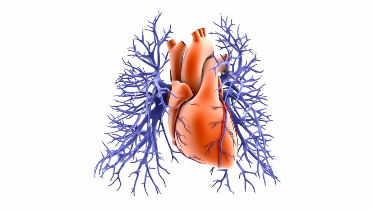 How Lung Disease Affects Your Heart