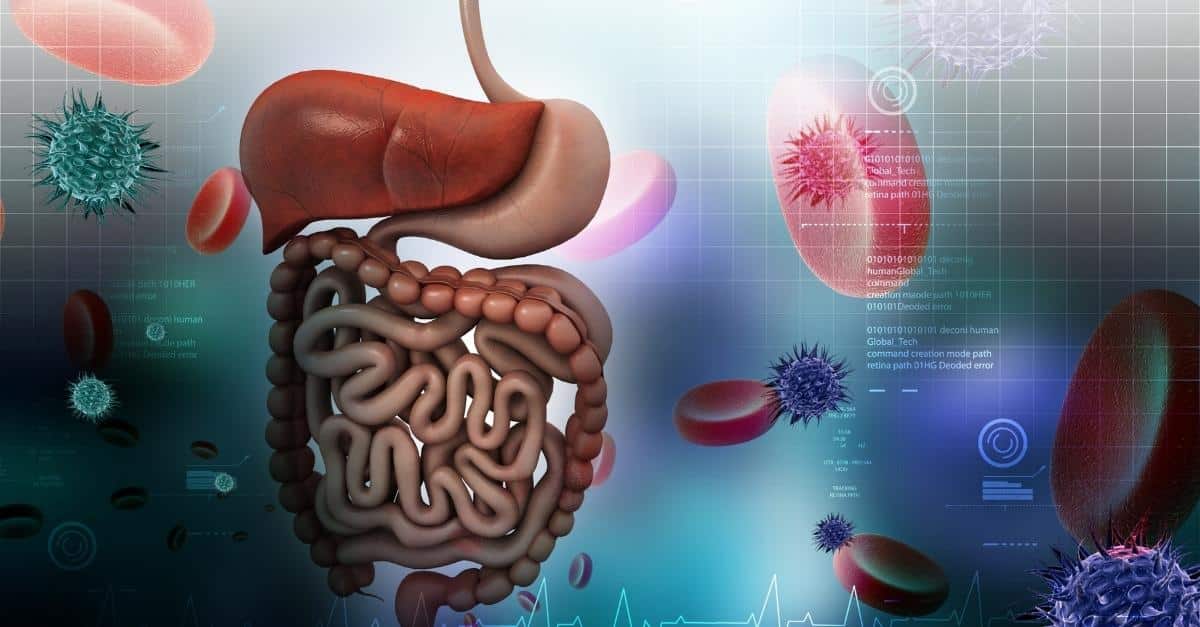 Oxygen Levels And The Digestive System - Lung Institute