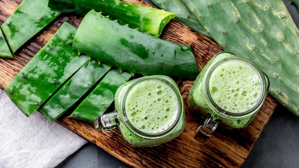 Cactus Juice Benefits